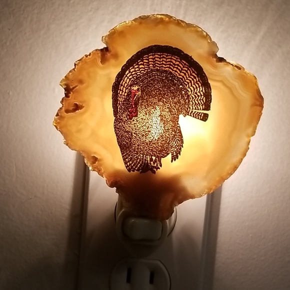 Wild Turkey agate wall night light
